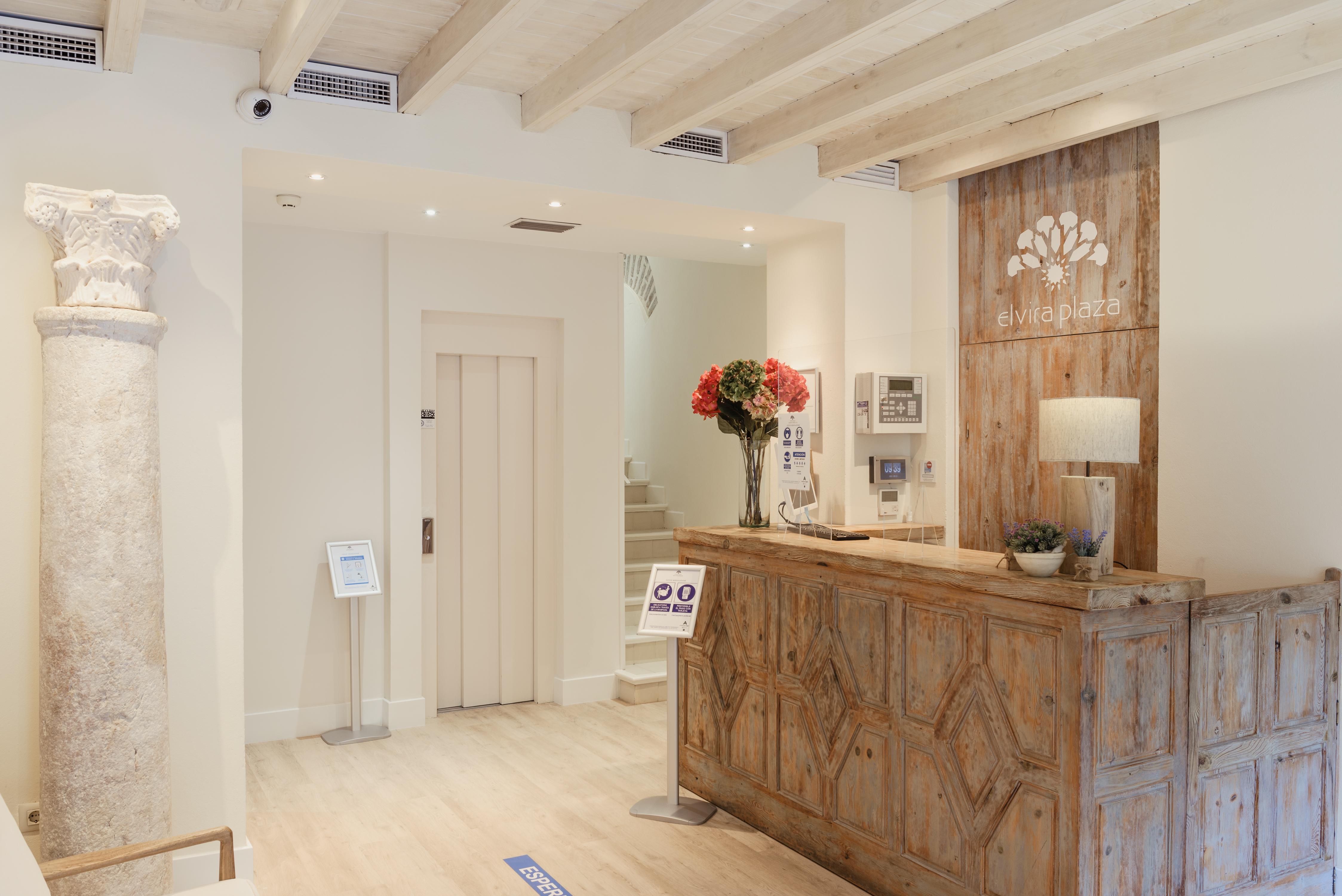 Hotel Boutique Elvira Plaza Seville Exterior photo